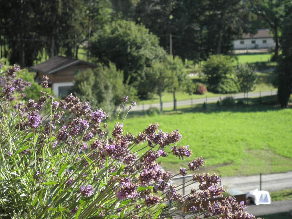 Appartamento Haus Sonnblick Wängle Esterno foto